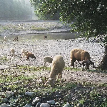 Quinta Da Moenda Alvoco das Varzeas